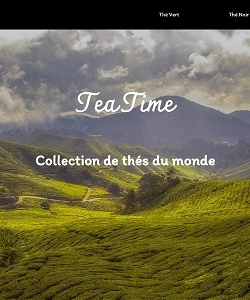 projet de realisation d'un site web de thé